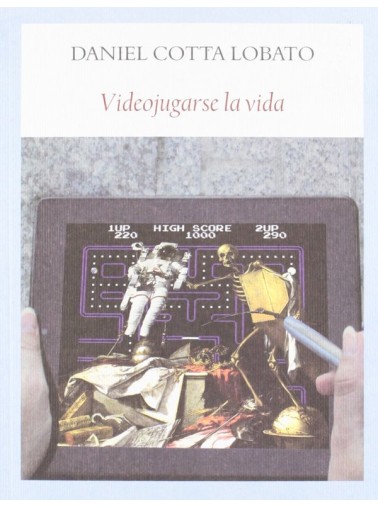VIDEOJUGARSE LA VIDA