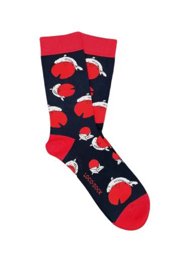 CARPA JAPONESA 41-46